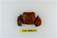 藏品(字紋弓蟹)的圖片